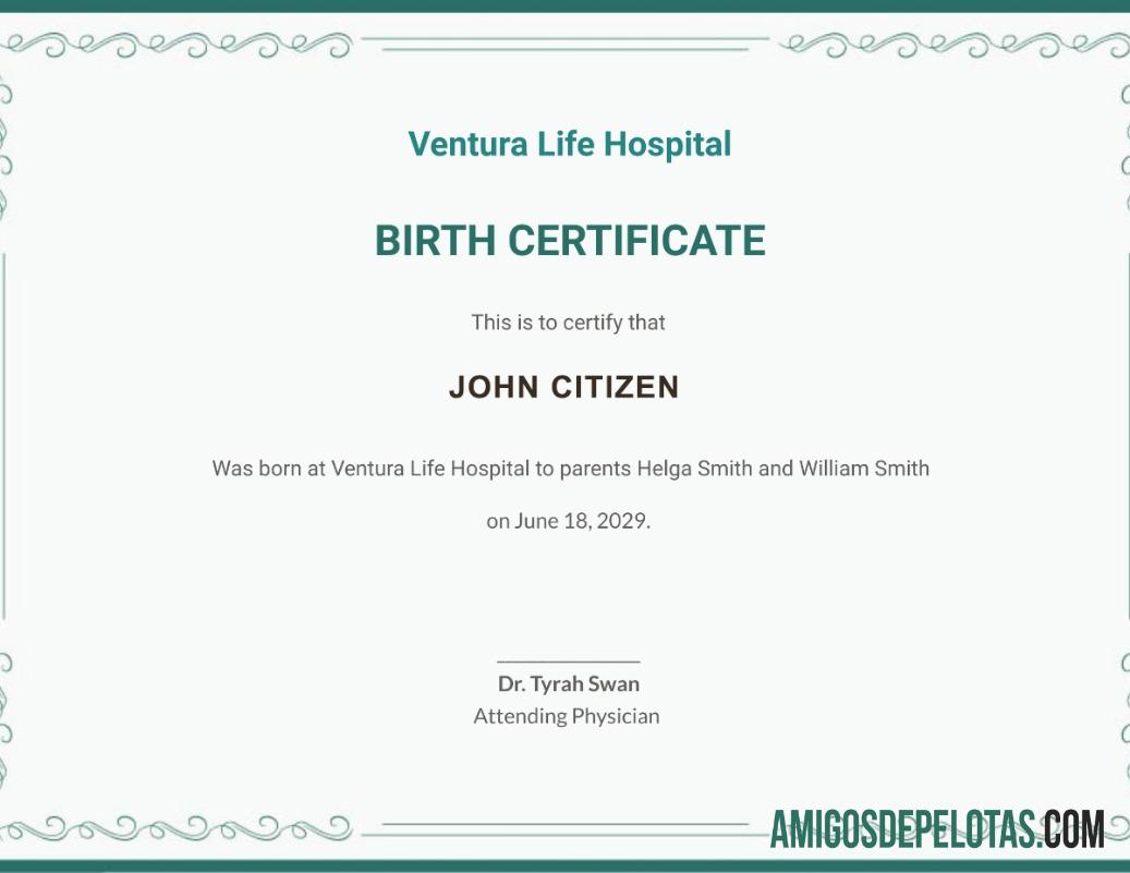 Certidão de nascimento do Ventura Life Hospital dos Estados Unidos modelo